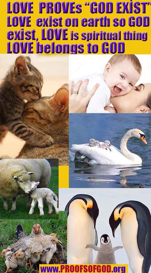 proofs of god, proofs-god, evidences of god, evidences-god, signs of god, signs-god, god is real, god exists ?