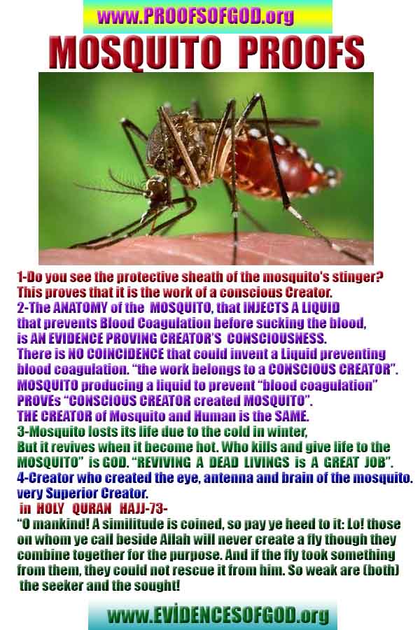 proofs of god, proofs-god, evidences of god, evidences-god, signs of god, signs-god, god is real, god exists 