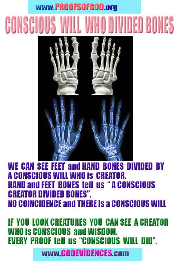 proofs of god, proofs-god, evidences of god, evidences-god, signs of god, signs-god, god is real, god exists ?