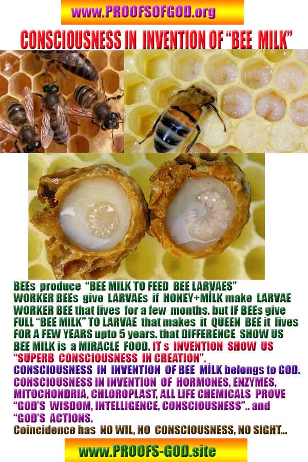 proofs of god, proofs-god, evidences of god, evidences-god, signs of god, signs-god, god is real, god exists ?