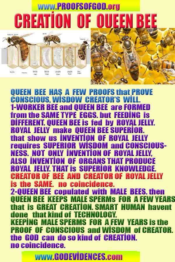 proofs of god, proofs-god, evidences of god, evidences-god, signs of god, signs-god, god is real, god exists 