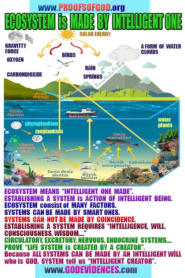 proofs of god, proofs-god, evidences of god, evidences-god, signs of god, signs-god, god is real, god exists 