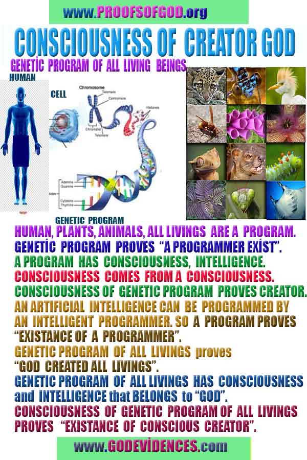 proofs of god, proofs-god, evidences of god, evidences-god, signs of god, signs-god, god is real, god exists 