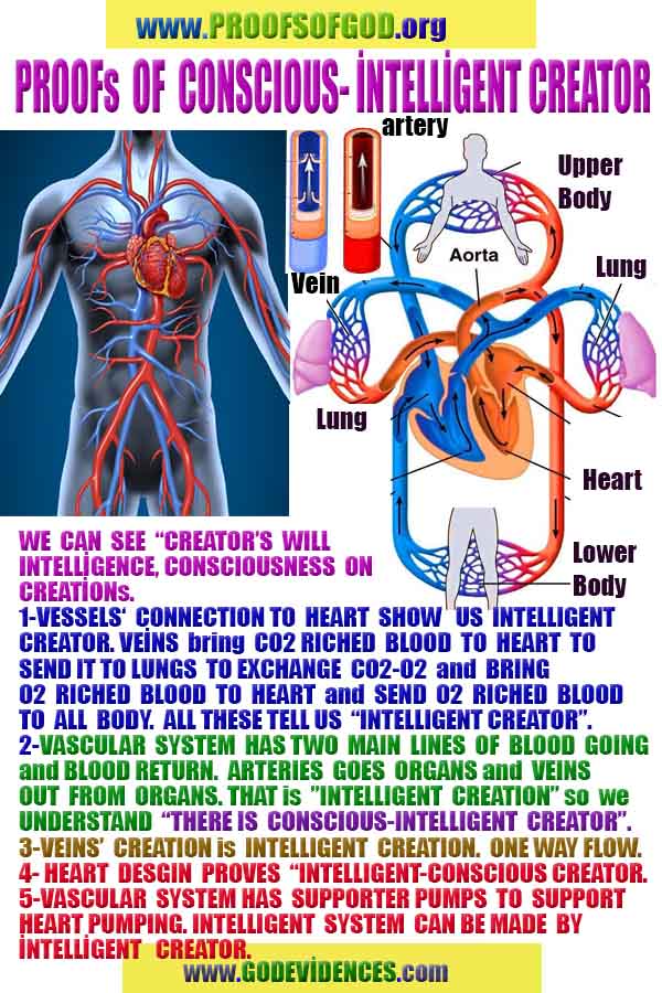  proofs of god, proofs-god, evidences of god, evidences-god, signs of god, signs-god, god is real, god exists