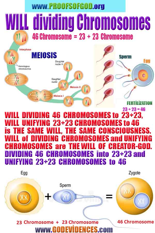 proofs of god, proofs-god, evidences of god, evidences-god, signs of god, signs-god, god is real, god exists ?