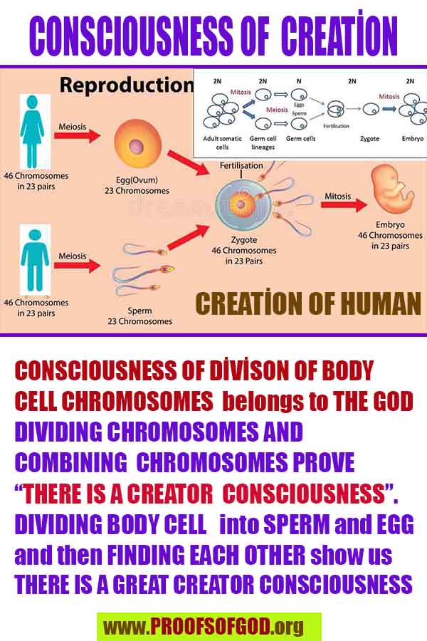 proofs of god, proofs-god, evidences of god, evidences-god, signs of god, signs-god, god is real, god exists 