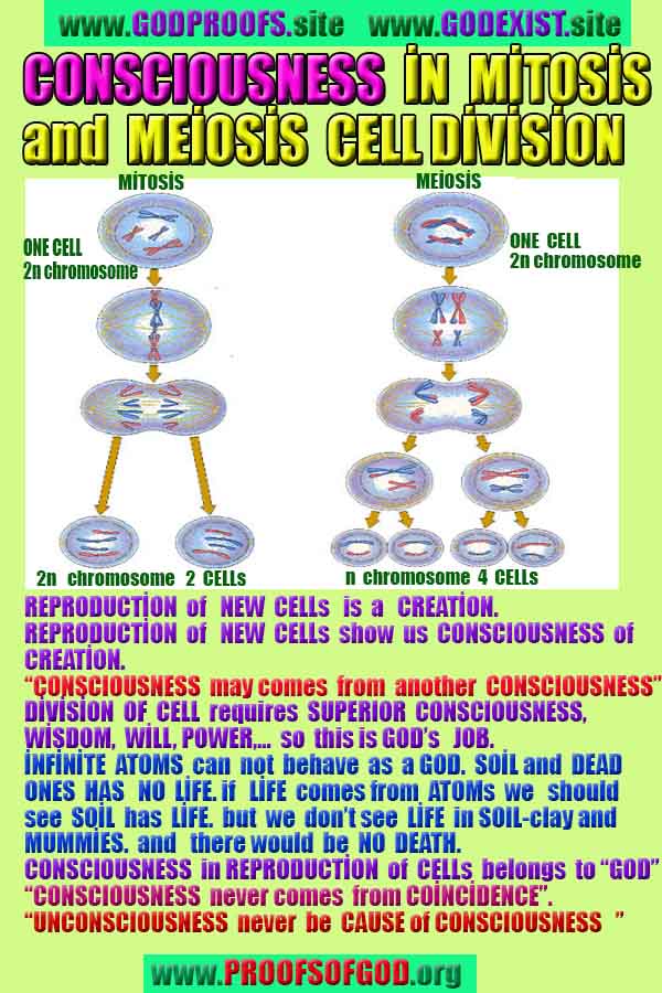 proofs of god, proofs-god, evidences of god, evidences-god, signs of god, signs-god, god is real, god exists ?