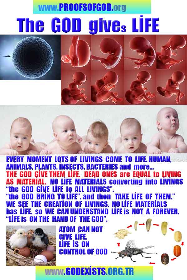 proofs of god, proofs-god, evidences of god, evidences-god, signs of god, signs-god, god is real, god exists 