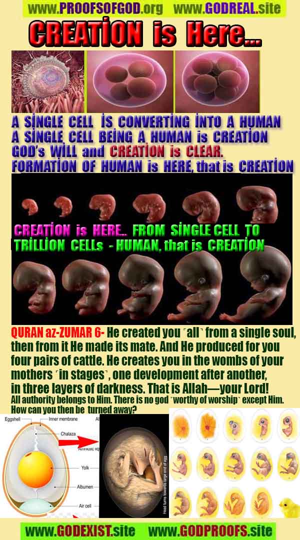  proofs of god, proofs-god, evidences of god, evidences-god, signs of god, signs-god, god is real, god exists
