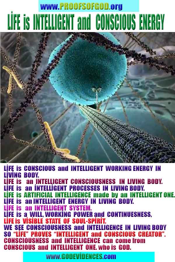 proofs of god, proofs-god, evidences of god, evidences-god, signs of god, signs-god, god is real, god exists ?