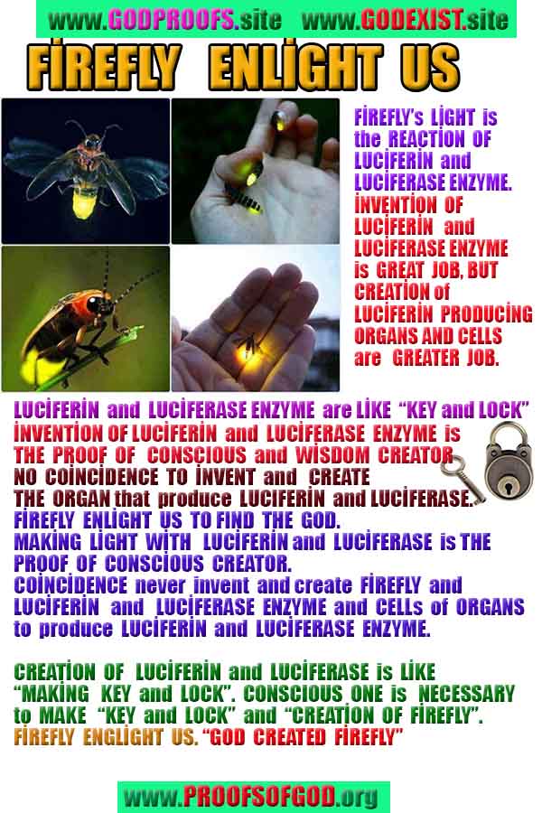  proofs of god, proofs-god, evidences of god, evidences-god, signs of god, signs-god, god is real, god exists