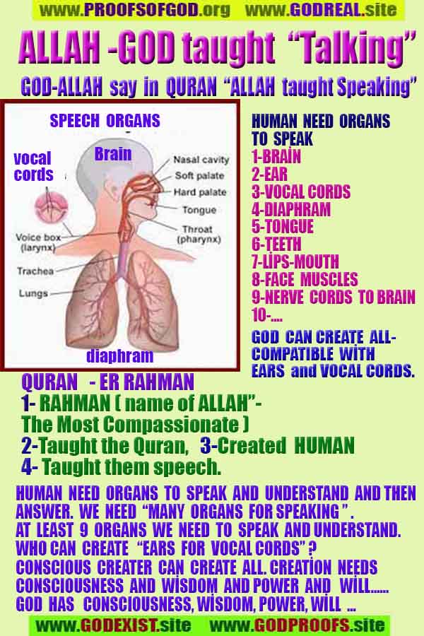 proofs of god, proofs-god, evidences of god, evidences-god, signs of god, signs-god, god is real, god exists ?