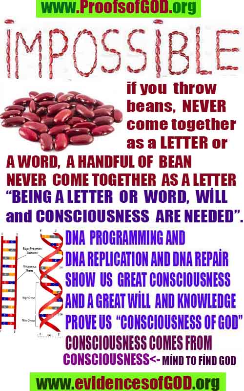 proofs of god, proofs-god, evidences of god, evidences-god, signs of god, signs-god, god is real, god exists ?