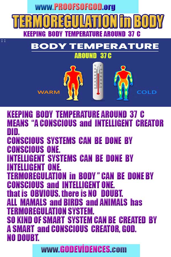 proofs of god, proofs-god, evidences of god, evidences-god, signs of god, signs-god, god is real, god exists ?