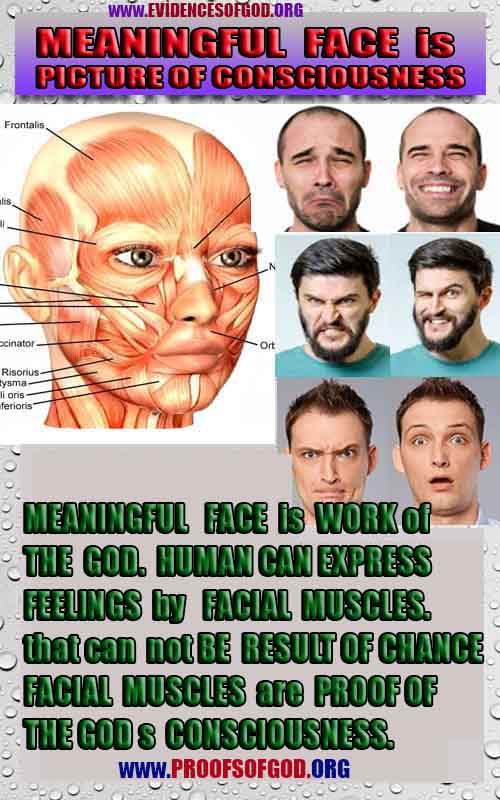 proofs of god, proofs-god, evidences of god, evidences-god, signs of god, signs-god, god is real, god exists ?