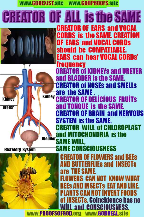 proofs of god, proofs-god, evidences of god, evidences-god, signs of god, signs-god, god is real, god exists 