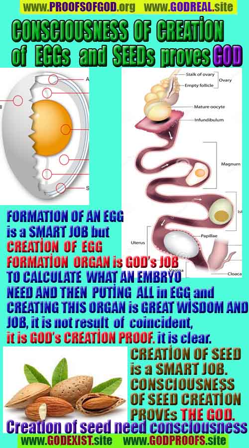 proofs of god, proofs-god, evidences of god, evidences-god, signs of god, signs-god, god is real, god exists 