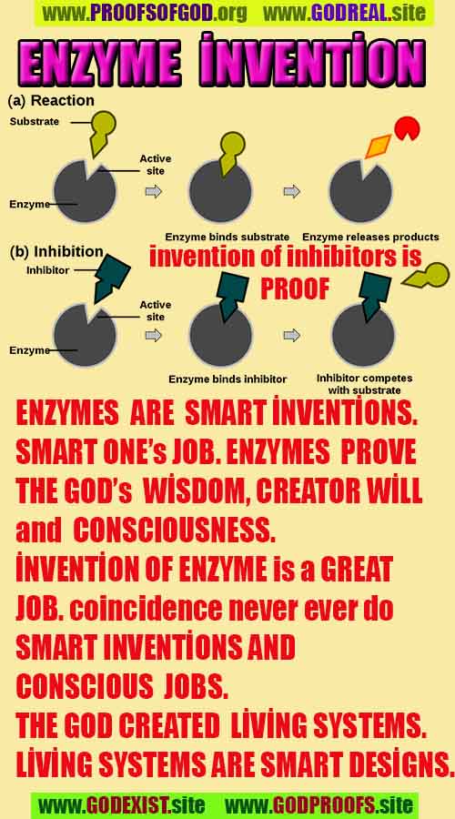 proofs of god, proofs-god, evidences of god, evidences-god, signs of god, signs-god, god is real, god exists ?