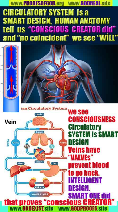 proofs of god, proofs-god, evidences of god, evidences-god, signs of god, signs-god, god is real, god exists 
