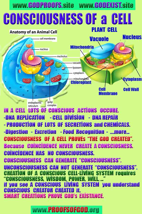 proofs of god, proofs-god, evidences of god, evidences-god, signs of god, signs-god, god is real, god exists ?