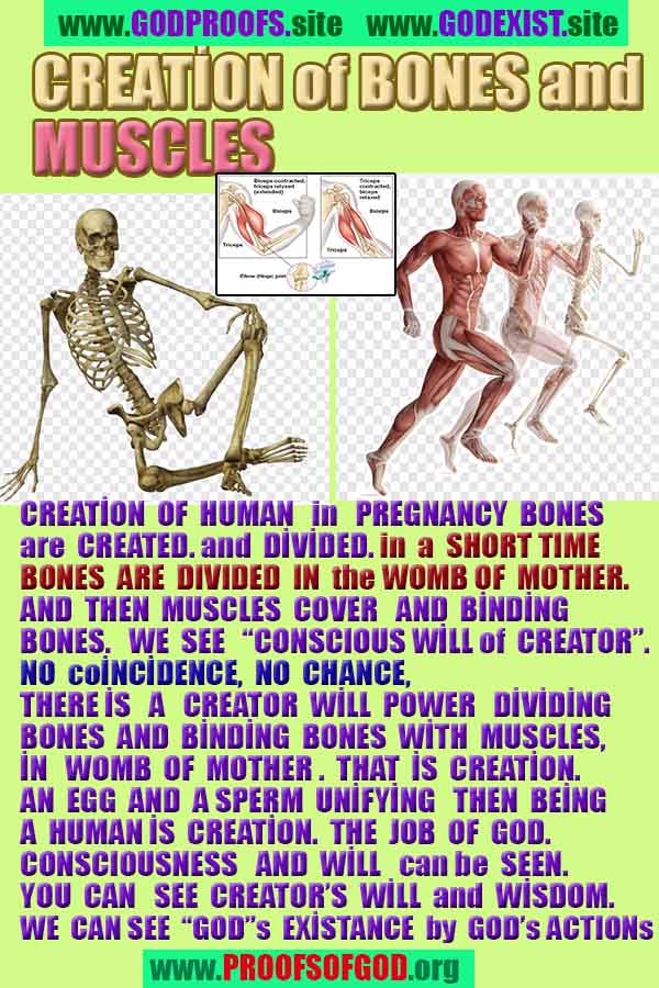 proofs of god, proofs-god, evidences of god, evidences-god, signs of god, signs-god, god is real, god exists 
