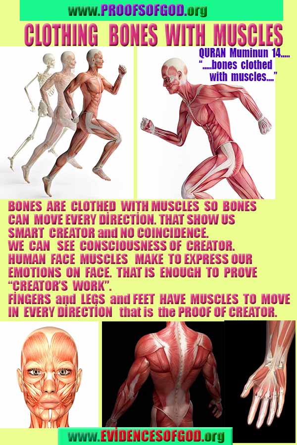  proofs of god, proofs-god, evidences of god, evidences-god, signs of god, signs-god, god is real, god exists