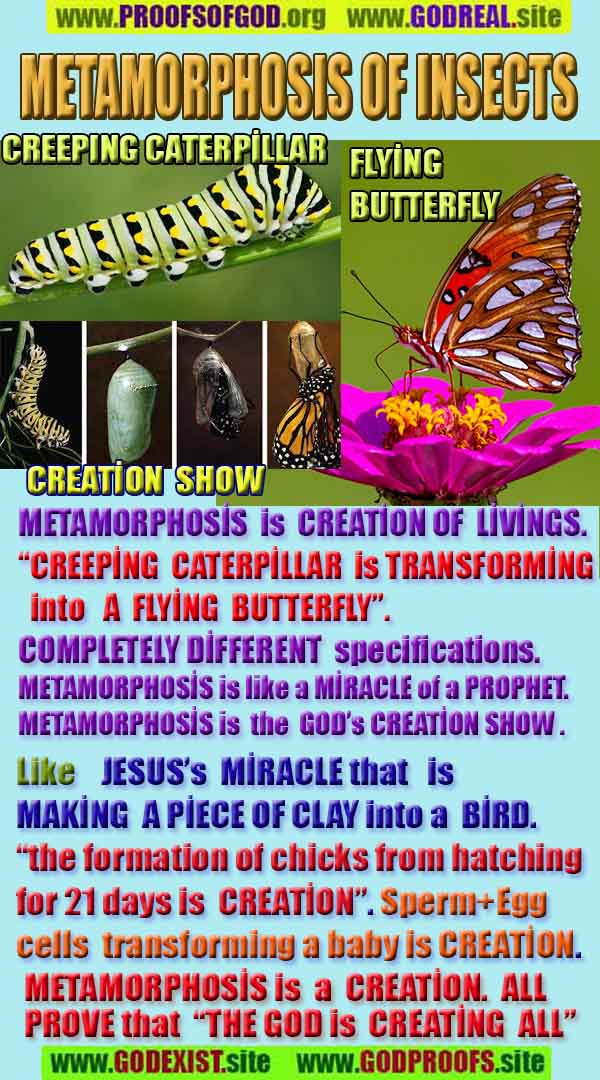  proofs of god, proofs-god, evidences of god, evidences-god, signs of god, signs-god, god is real, god exists