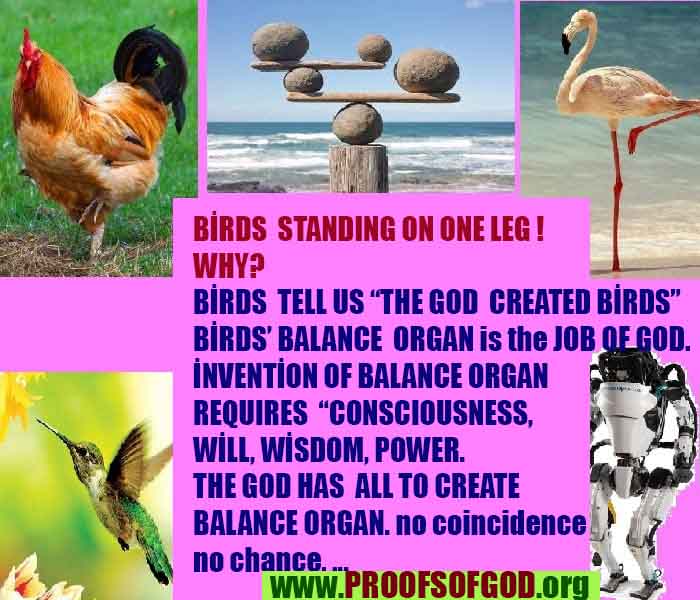 proofs of god, proofs-god, evidences of god, evidences-god, signs of god, signs-god, god is real, god exists 