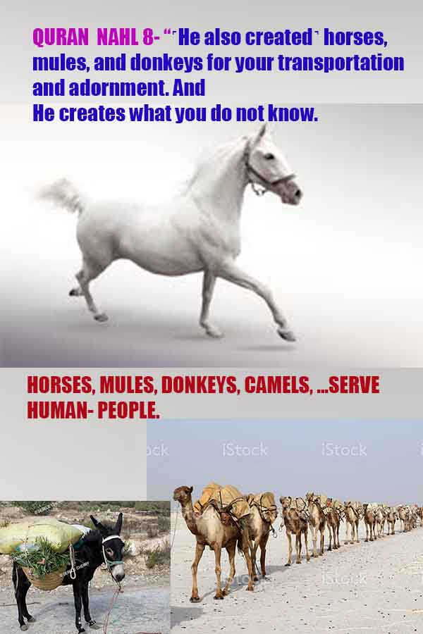 proofs of god, proofs-god, evidences of god, evidences-god, signs of god, signs-god, god is real, god exists 