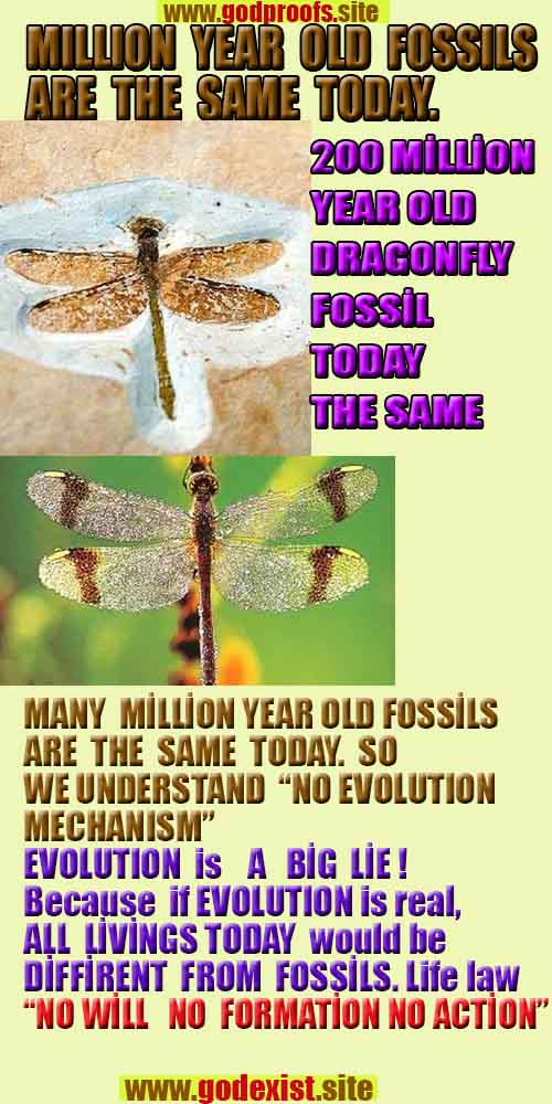proofs of god, proofs-god, evidences of god, evidences-god, signs of god, signs-god, god is real, god exists ?