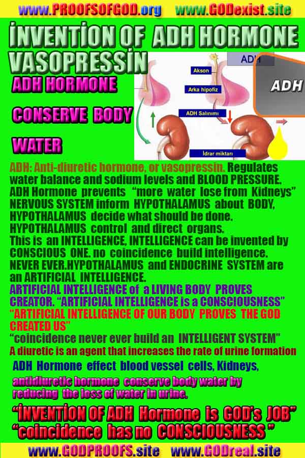 proofs of god, proofs-god, evidences of god, evidences-god, signs of god, signs-god, god is real, god exists 