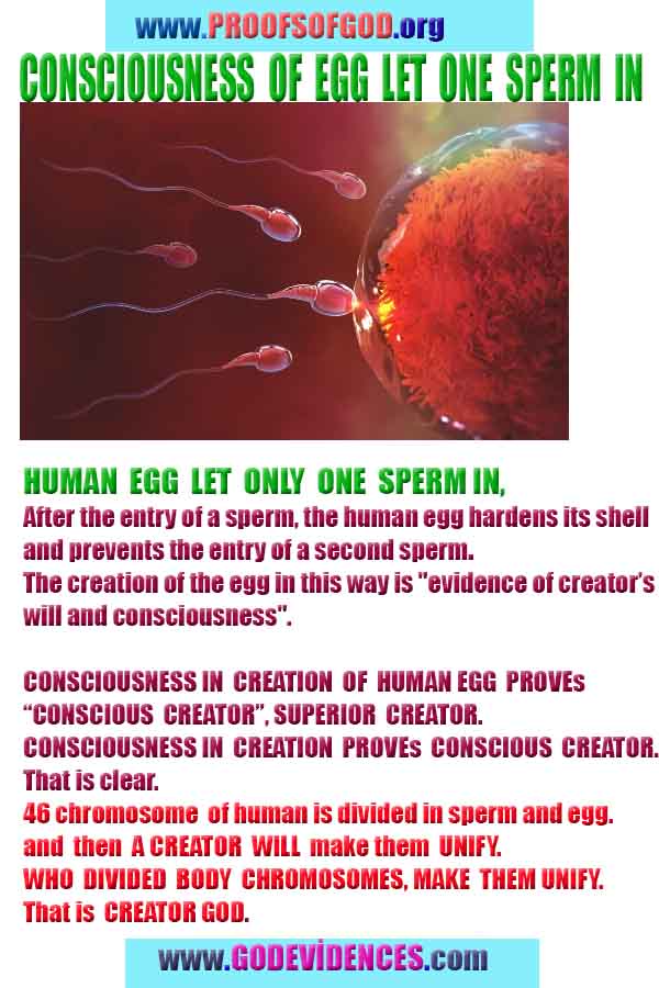  proofs of god, proofs-god, evidences of god, evidences-god, signs of god, signs-god, god is real, god exists