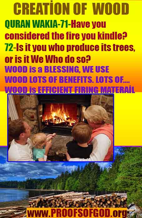 proofs of god, proofs-god, evidences of god, evidences-god, signs of god, signs-god, god is real, god exists ?
