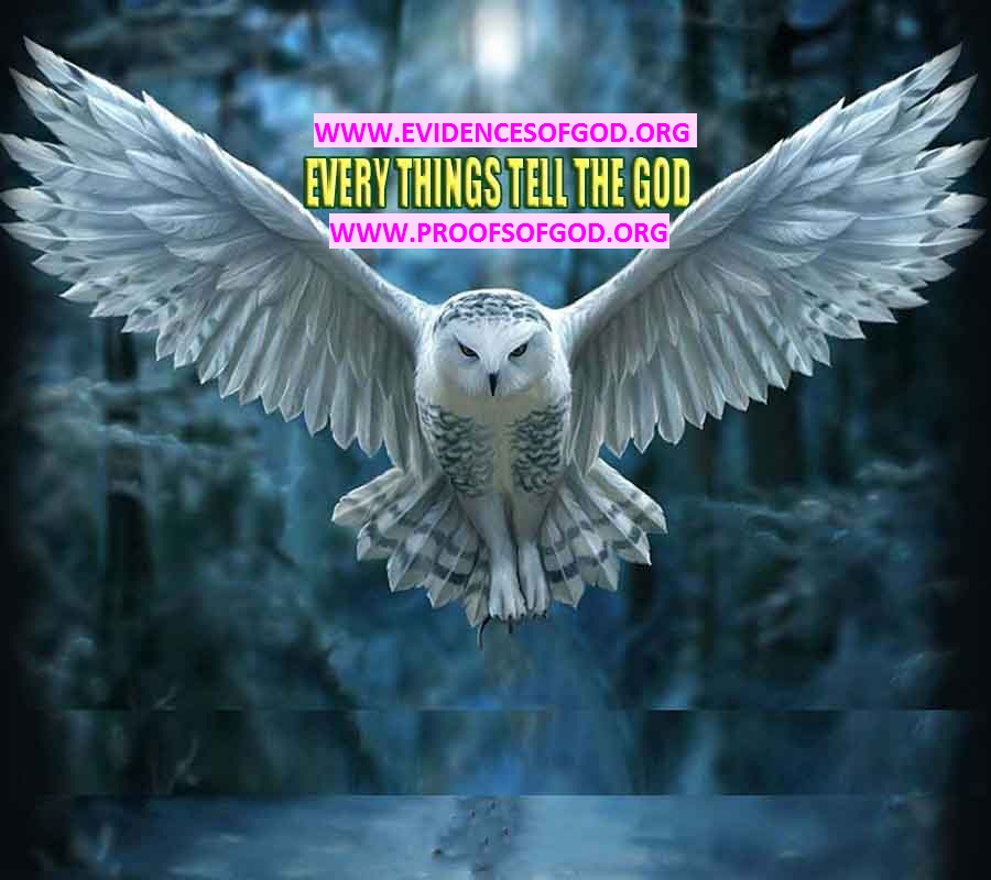  proofs of god, proofs-god, evidences of god, evidences-god, signs of god, signs-god, god is real, god exists