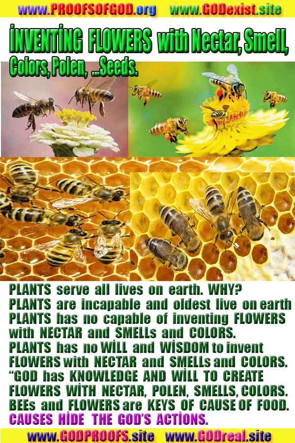 proofs of god, proofs-god, evidences of god, evidences-god, signs of god, signs-god, god is real, god exists 