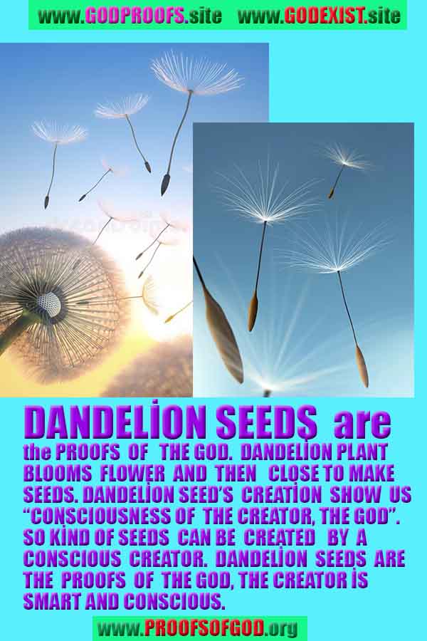 proofs of god, proofs-god, evidences of god, evidences-god, signs of god, signs-god, god is real, god exists ?