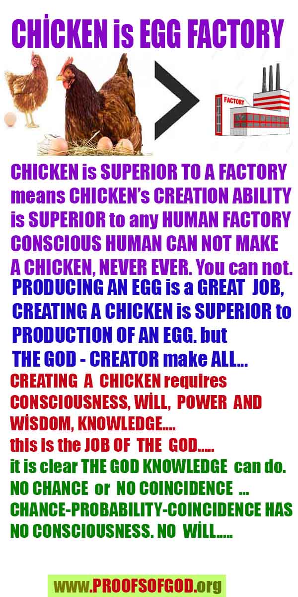 proofs of god, proofs-god, evidences of god, evidences-god, signs of god, signs-god, god is real, god exists 