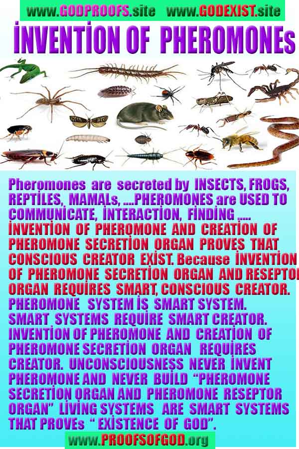  proofs of god, proofs-god, evidences of god, evidences-god, signs of god, signs-god, god is real, god exists