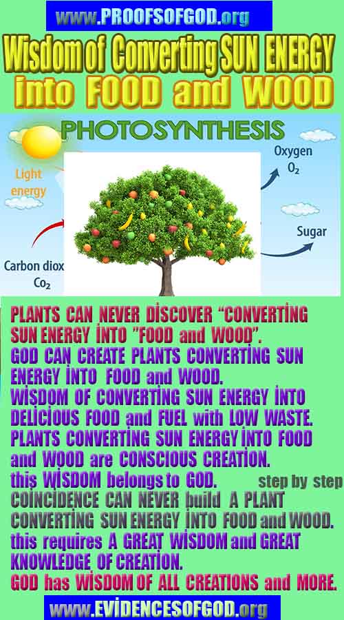  proofs of god, proofs-god, evidences of god, evidences-god, signs of god, signs-god, god is real, god exists