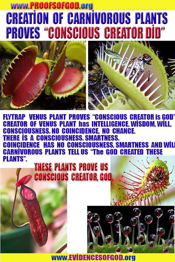 proofs of god, proofs-god, evidences of god, evidences-god, signs of god, signs-god, god is real, god exists 
