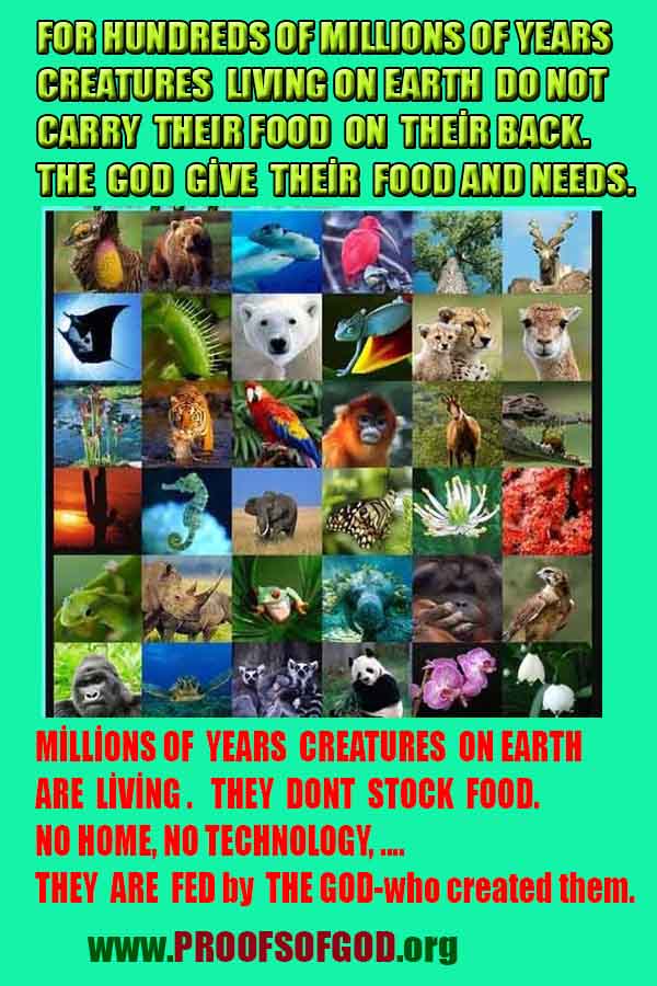 proofs of god, proofs-god, evidences of god, evidences-god, signs of god, signs-god, god is real, god exists ?