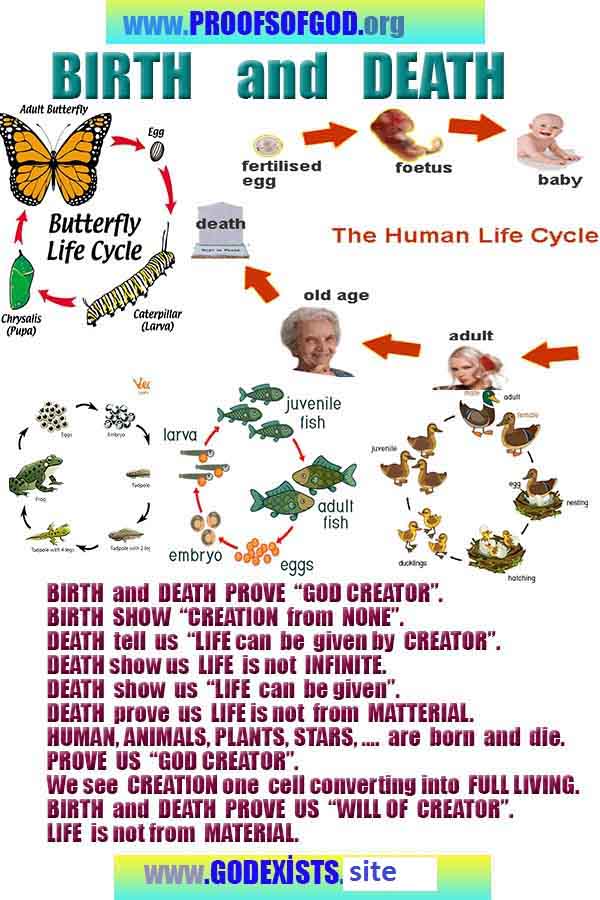 proofs of god, proofs-god, evidences of god, evidences-god, signs of god, signs-god, god is real, god exists 