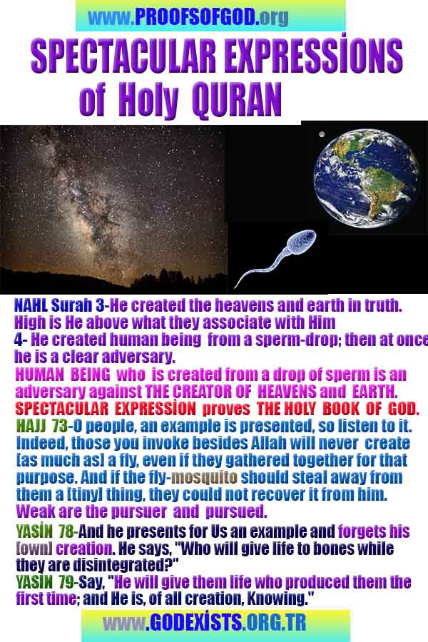 proofs of god, proofs-god, evidences of god, evidences-god, signs of god, signs-god, god is real, god exists ?