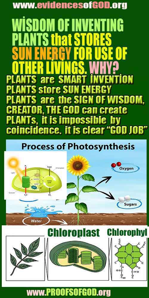 proofs of god, proofs-god, evidences of god, evidences-god, signs of god, signs-god, god is real, god exists 