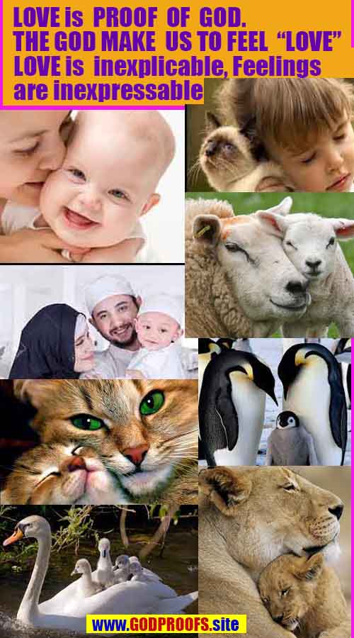 proofs of god, proofs-god, evidences of god, evidences-god, signs of god, signs-god, god is real, god exists 