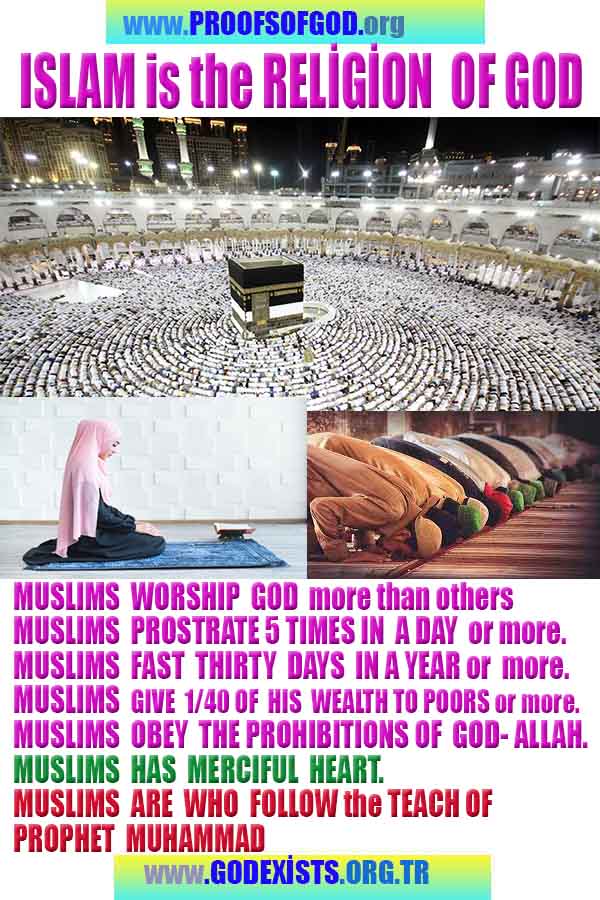  proofs of god, proofs-god, evidences of god, evidences-god, signs of god, signs-god, god is real, god exists